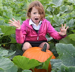 A girl shocked by the size of the pumpkins at Canalside Farm, Staffordshire